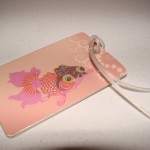 luggage tag (13)