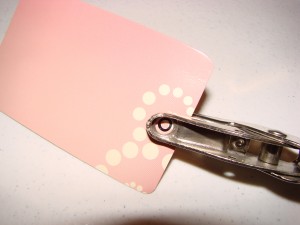 luggage tag (9)