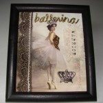 ballerina warrior princess (1)
