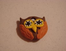 Owl key cover